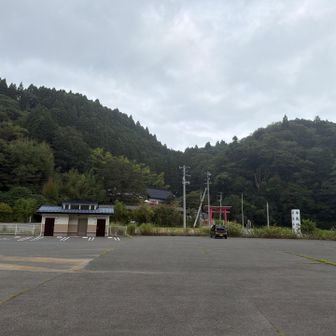 戻ってきたよ。