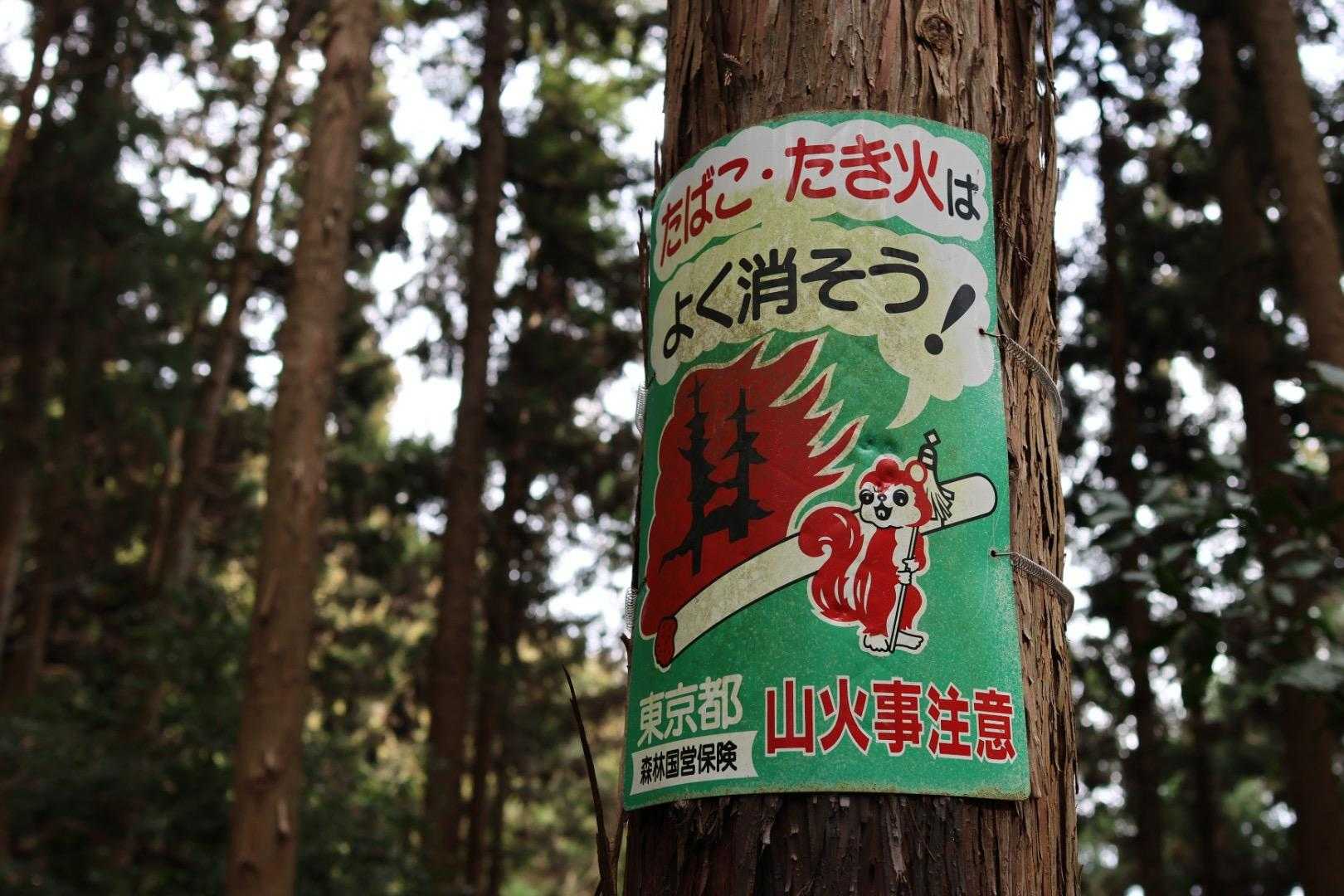赤い🐿️現る😆