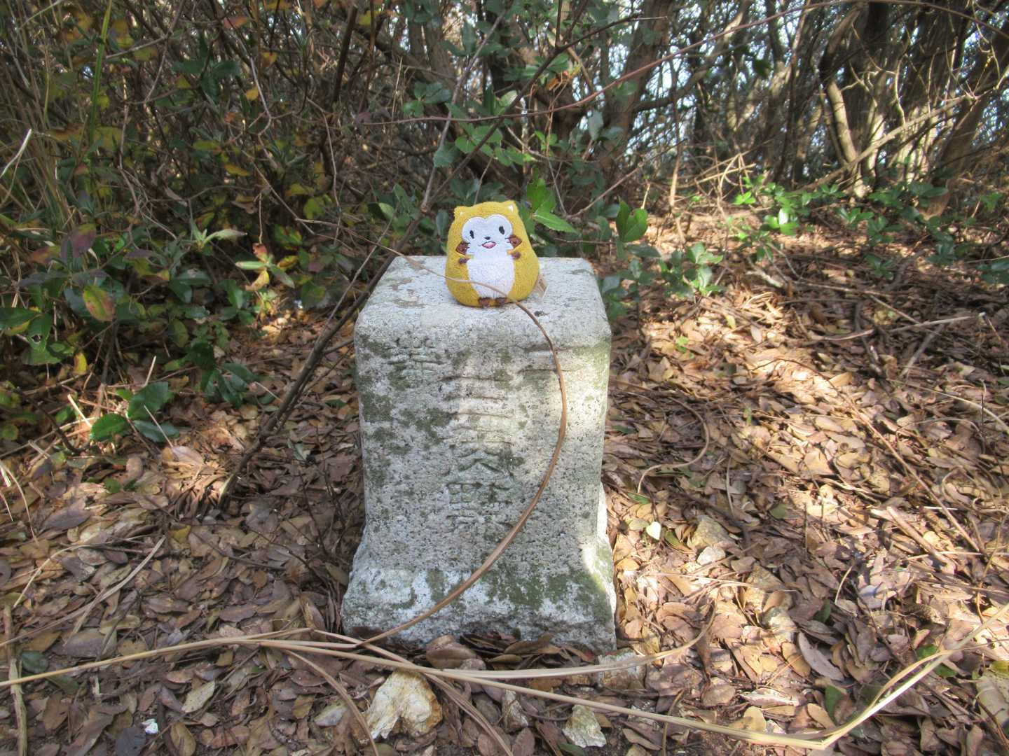 七つ山（七峰）の写真