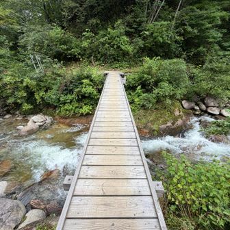 行きと流れが全然違う。この橋渡ると3分位でゴール！