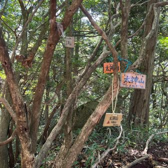 本堂から少し登ると、着きました〜👍