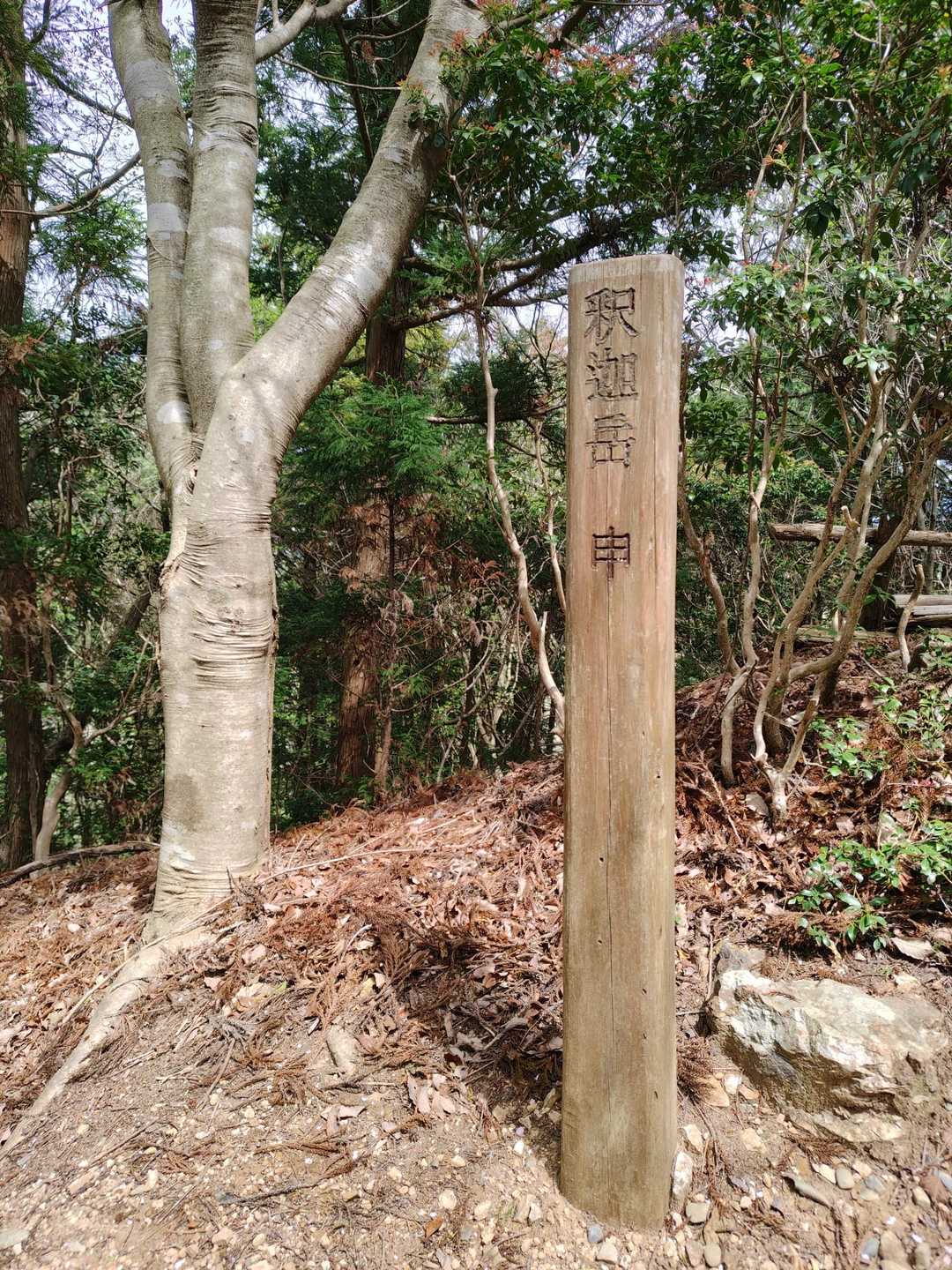 この標識はいいなあ