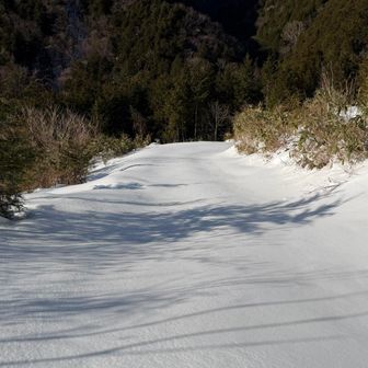 早よ帰りたい😭