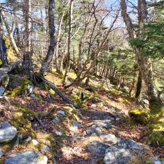 この辺りは他と雰囲気が違う。
