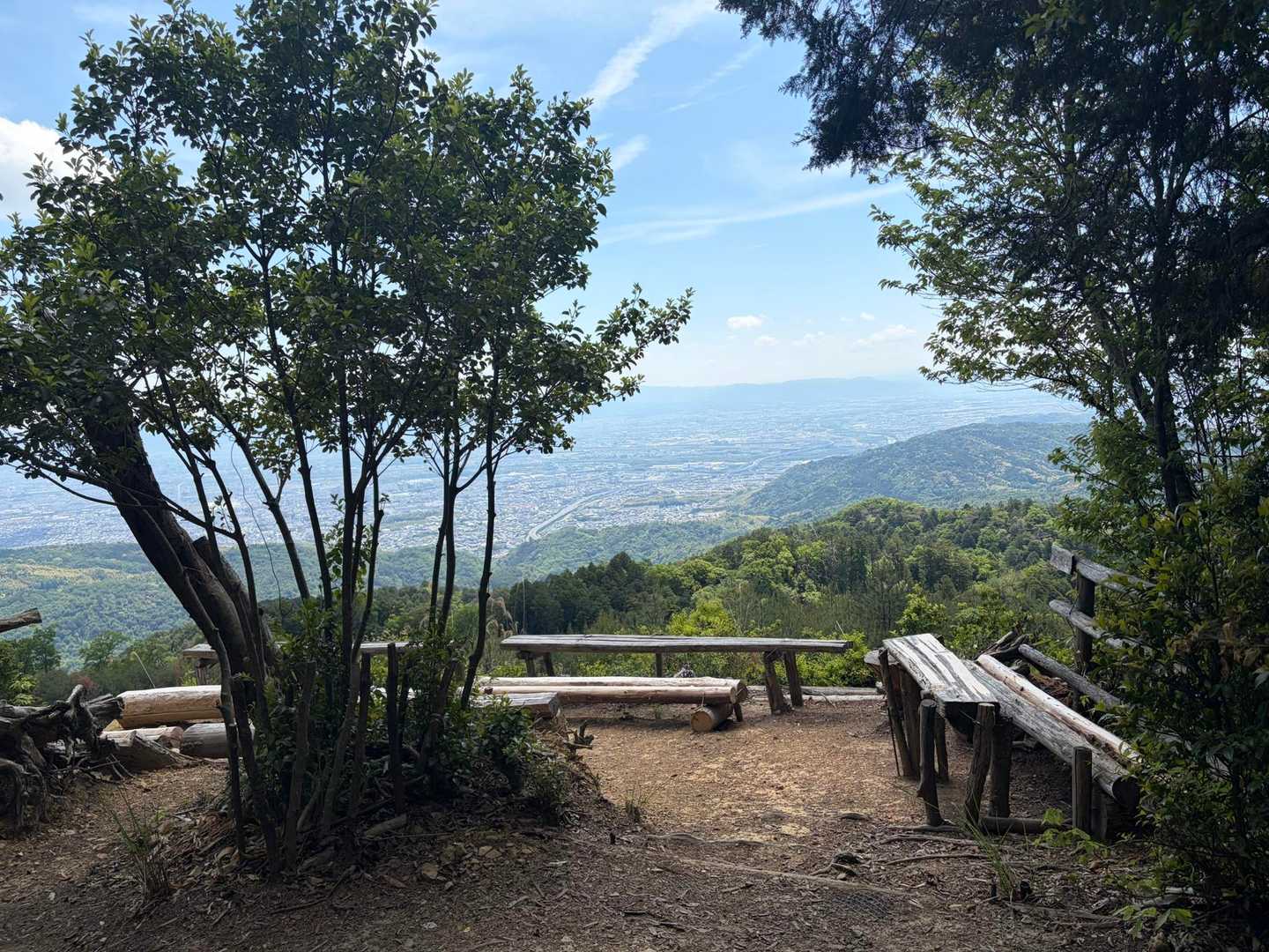 大沢山 往復コースの写真