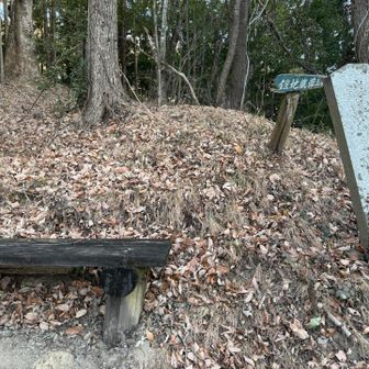 鎧地蔵尊碑

でもお地蔵さん自体は見当たらず