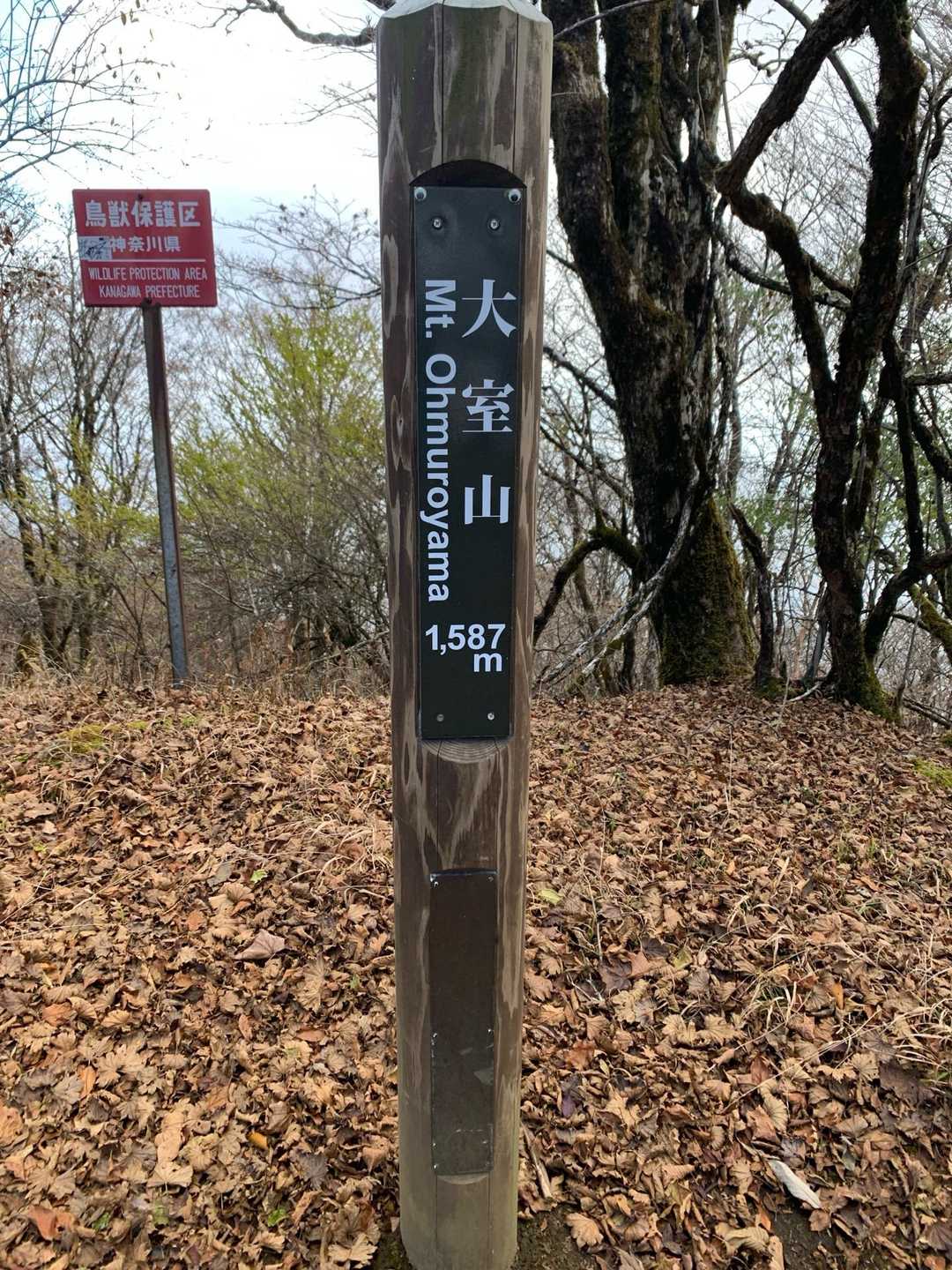 加入道山-大室山 往復コースの写真