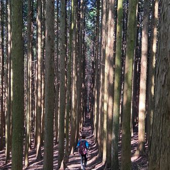 珍しく撮ってもらいました！
左隣も🌳🌳🚶‍♀️右隣も🌳🌳🚶‍♀️
テンション上がってどの人生か見失う(笑)
しかも、前向いて進むもいいが、時に振り返るのも素晴らしい✨️
我が人生も時に振り返りも必要ね💕︎