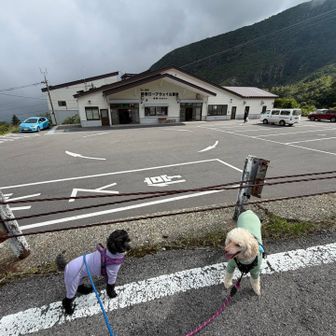 ロープウェイおりて、峠の茶屋駐車場へ戻ります