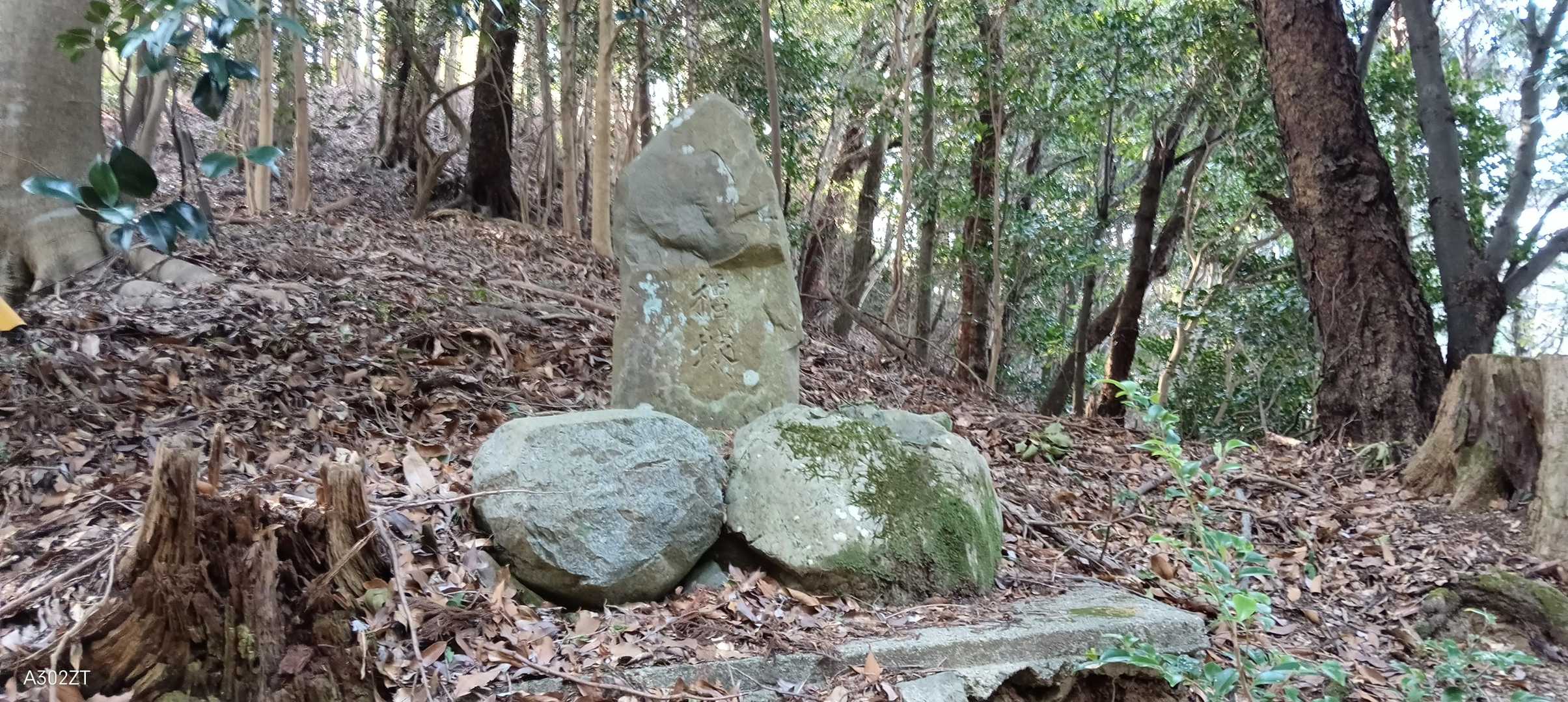 善峯寺バス停-釈迦岳-本山寺-神峰山口バス停 縦走コースの写真