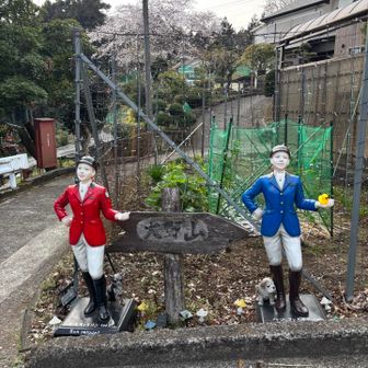 あ、噂の丹沢姉妹！