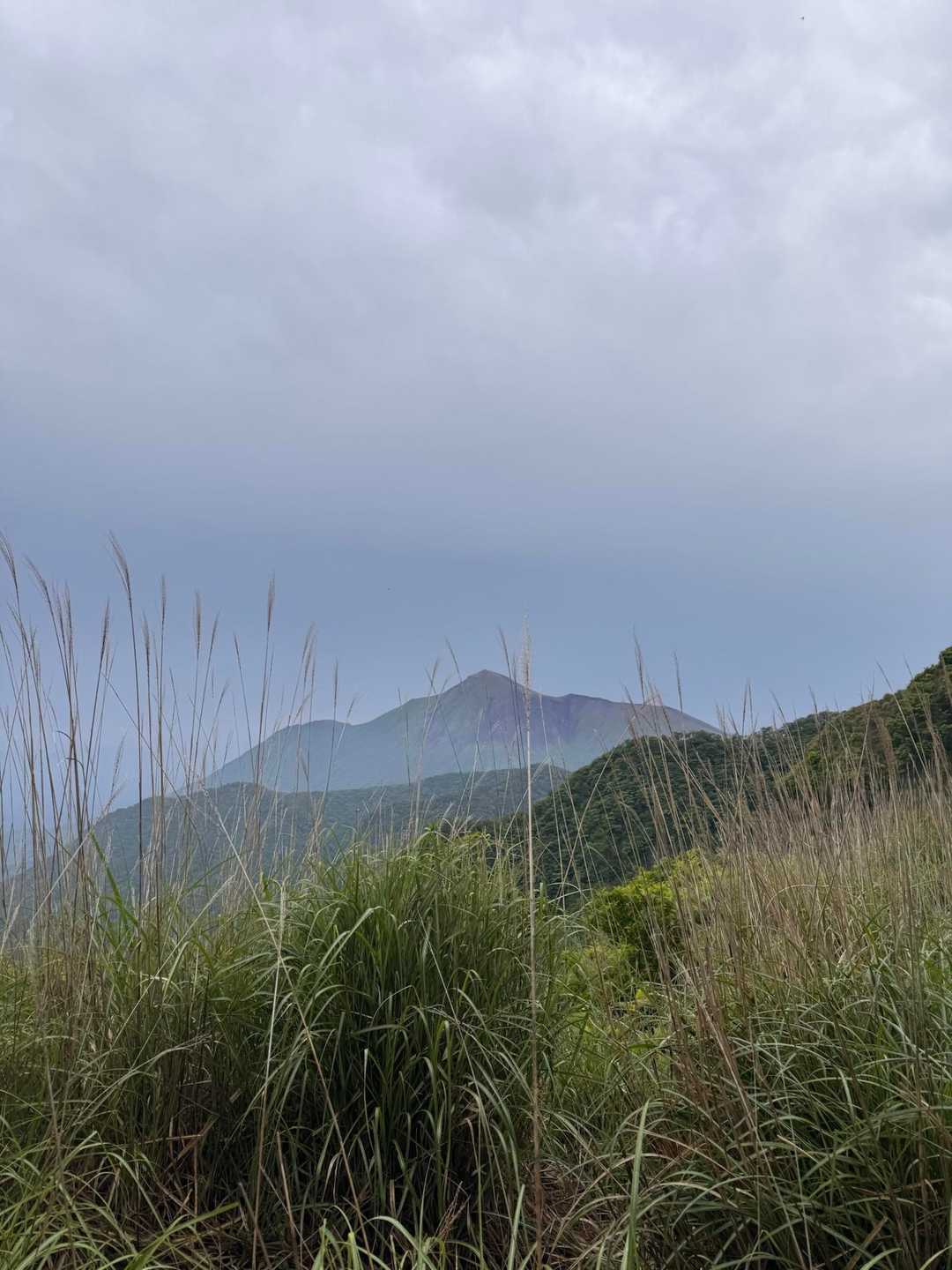 雨の中、苦しい登りに
ぶつぶつ言いながら登ってきたご褒美キタキタ😘