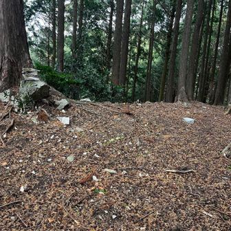 霧山、髭山からの狼煙の中継点でも有った様です