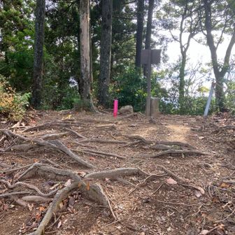 山頂、木々が展望邪魔しております