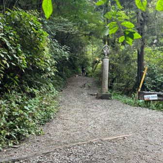 6号路登山口