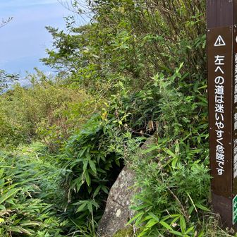 これは流石に😅
