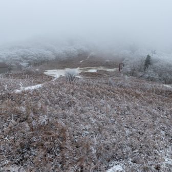 風も強いしただただ寒い