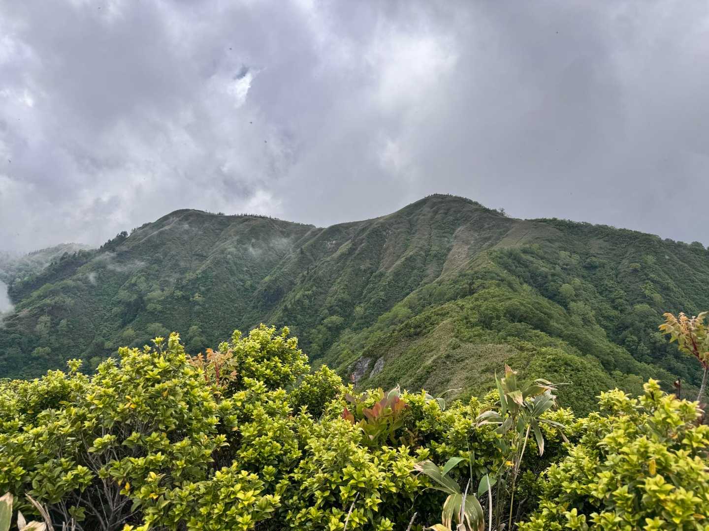 日照岳と登山道がくっきり！