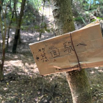 手作り感満載の🪧😆