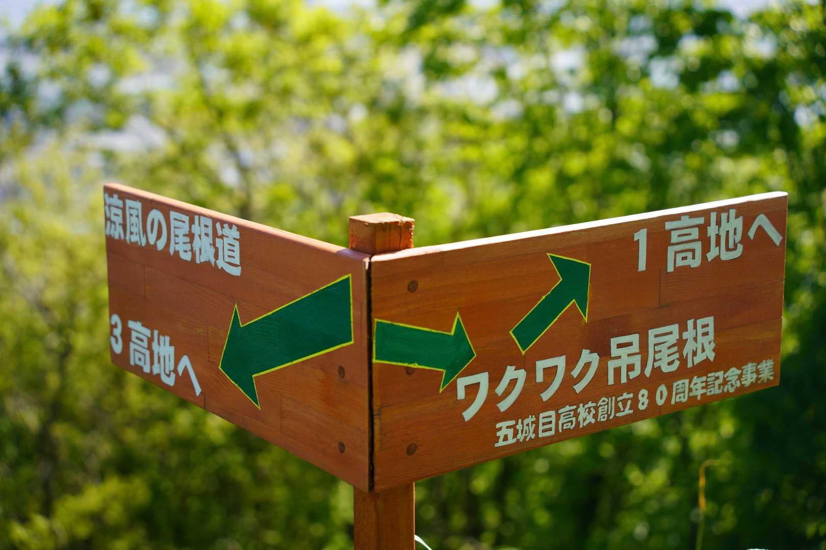 さっきのジェットコースターの吊尾根を、ワクワクと表現する地元の方が怖い。

復路は『涼風の尾根道』を通って戻ります。
