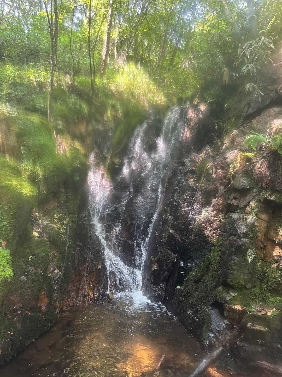 そしたらご褒美のような最後の滝🤗