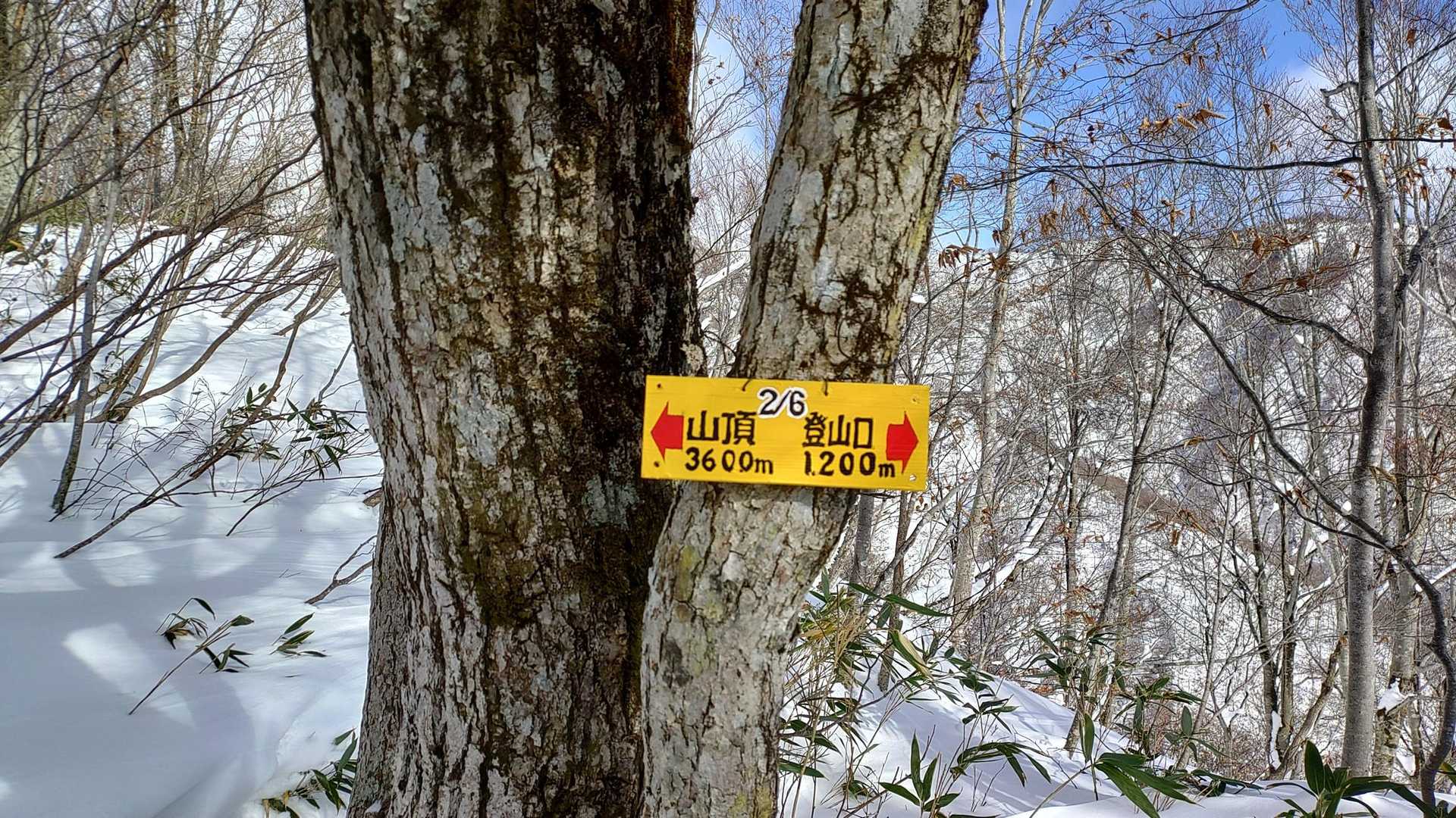 はぁ？マジですか？

私には能郷白山まで辿り着ける自信が無くなりました😭