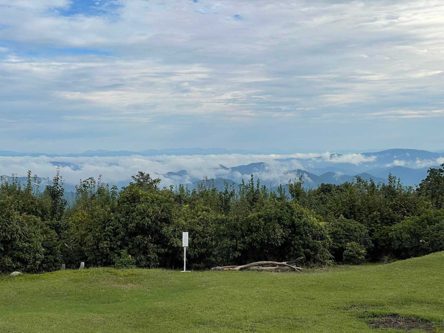 雲海が😳
おにぎり食べて下山
実はピストンで下山するのは初めて🤭