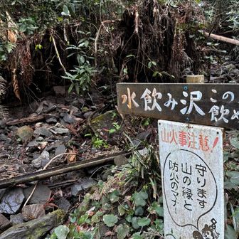 飲めない水飲み沢。
顔じゃぶじゃぶ専用です。