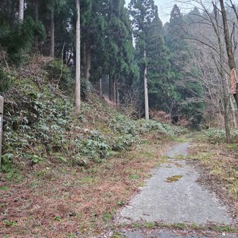 ここから取り付く。