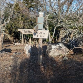 高通山山頂到着。