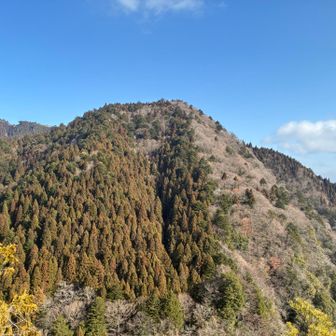 ジャンクションピーク