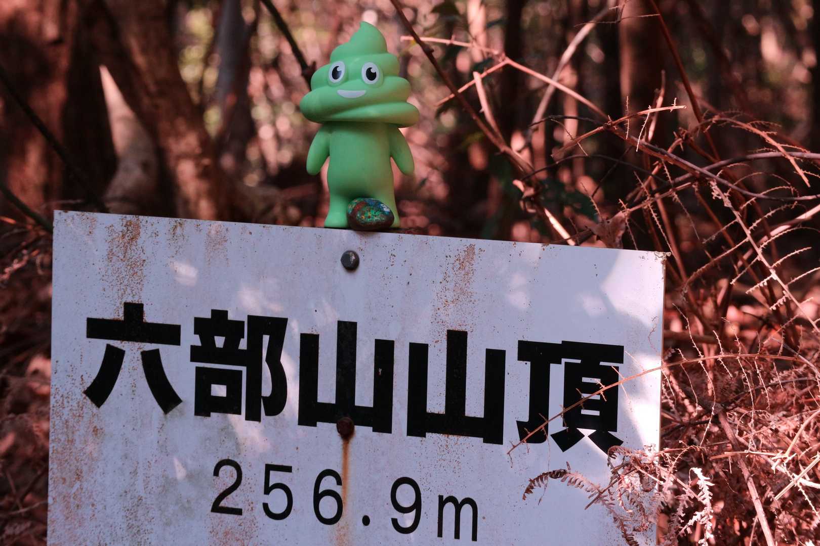 山頂✨