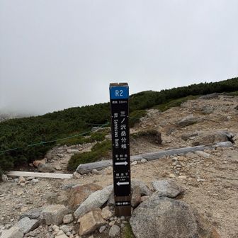 ここいら辺りは平和です。空木岳はまたの機会に！