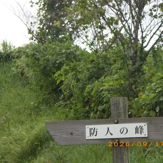 豊臣時代のお話しみたいです。