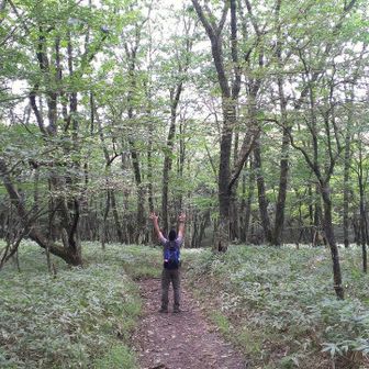 サルヴァトーレ