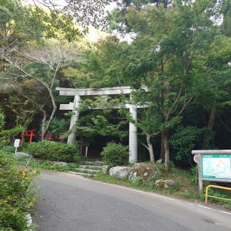 宜しくお願い致しますm(__)m