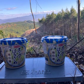 気があったスープ春雨〜鶏白湯