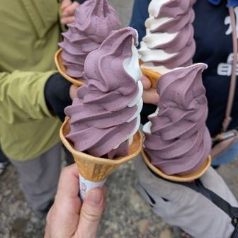 ブルーベリーソフトクリーム500円
なんと美味しかったことか！