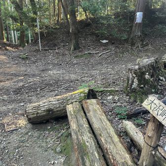 大沢峠
四ツ辻とも呼ばれてる