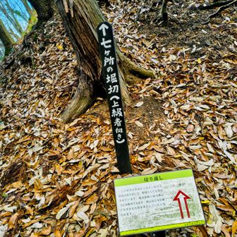 鎌刃城跡へ
行きは上級者向きコースで