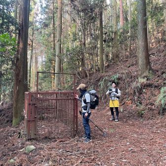 仕掛けの心配してあげてるりーたん

なぜ(ﾟ∀ﾟ)⁇