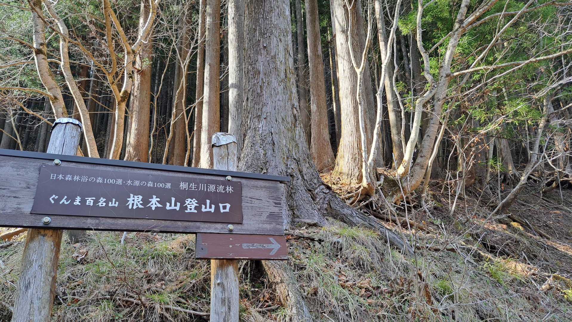 登山口