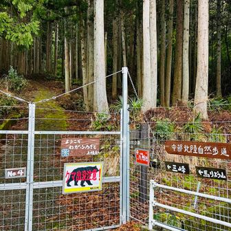 冬眠時期じゃない時に行くのが怖い…