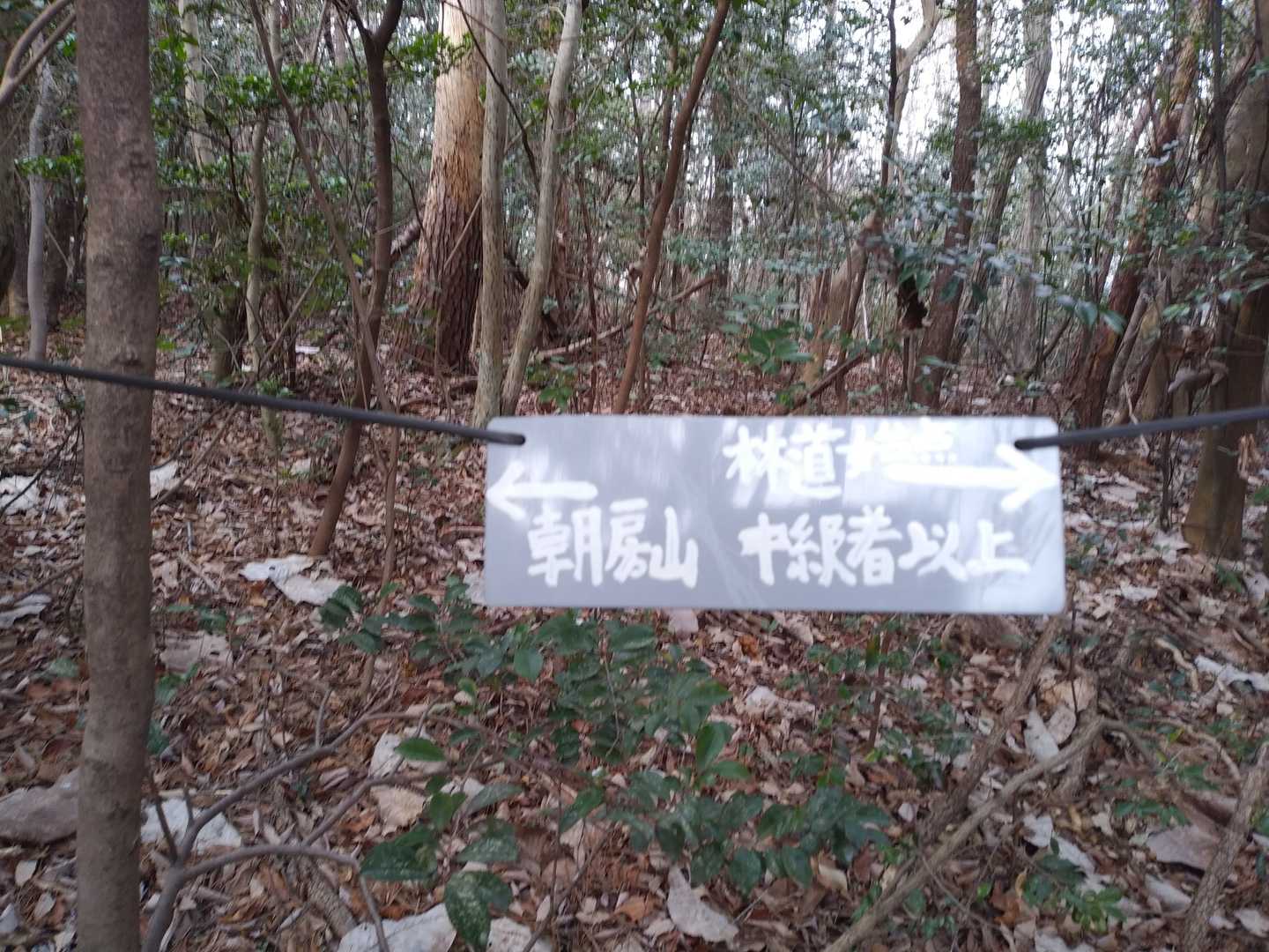 今までが中級者コースだったのね