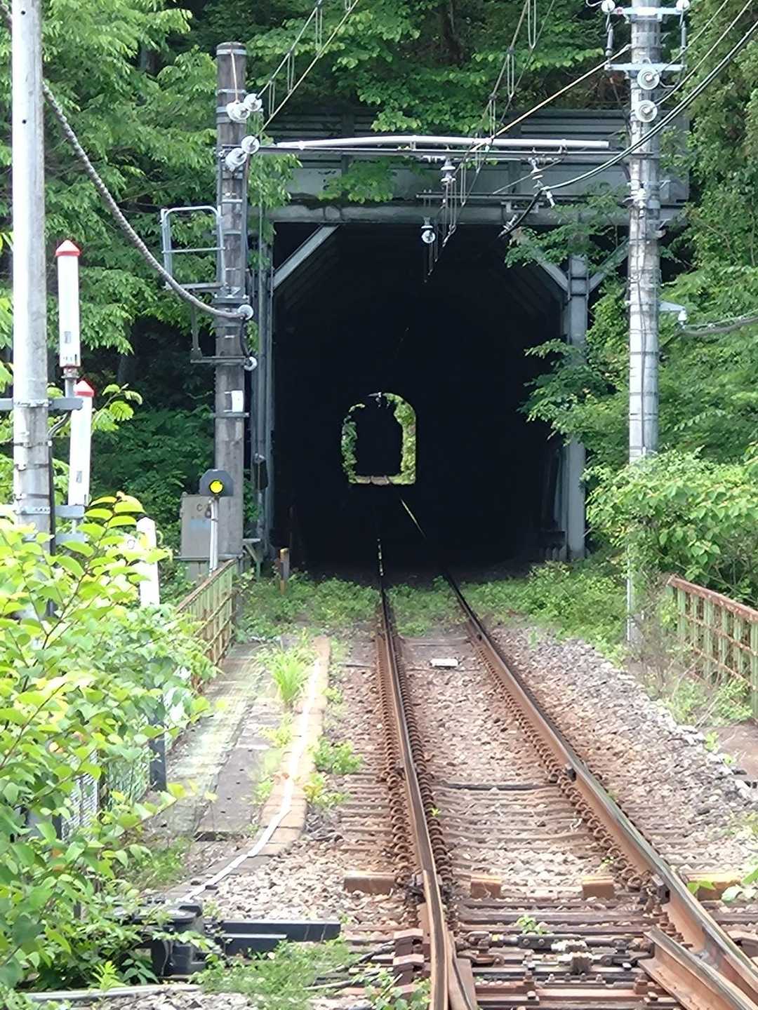 鳩がいない鳩ノ巣駅の単線になるトンネル😆
百尋の滝を見れなかったので今日のカバーはこれしかない😆