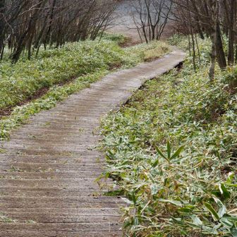 階段を見下ろす。