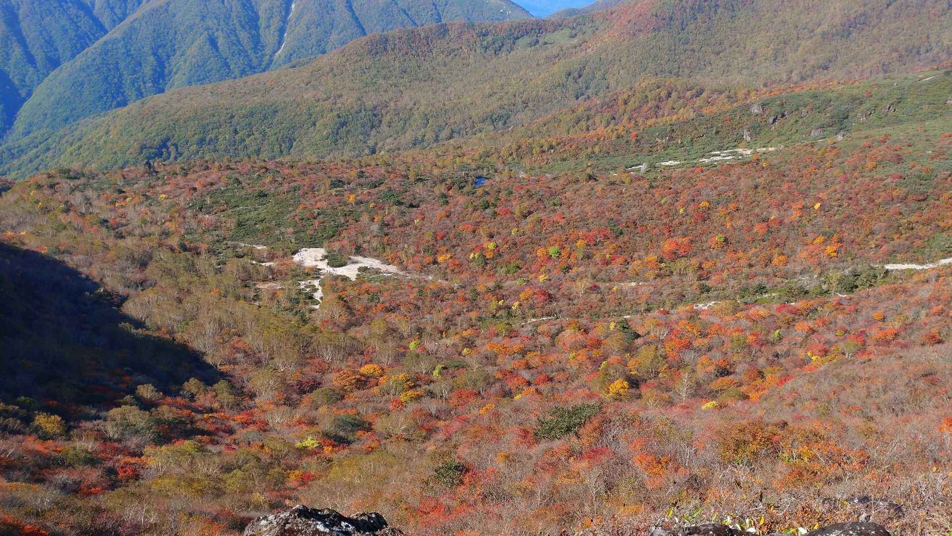 沼ッ原湿原登山口-白笹山-南月山-日の出平-姥ヶ平-日の出 縦走コースの写真