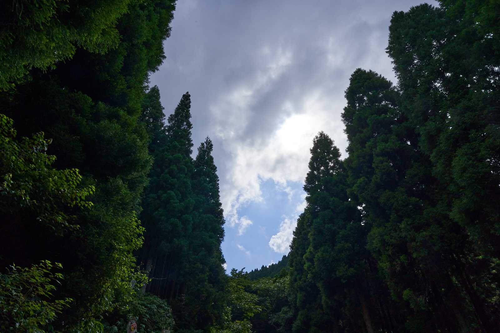 下山すると青空が広がり始めた👀

ここまでありがとうございました、
来週の井原山が楽しみです😊