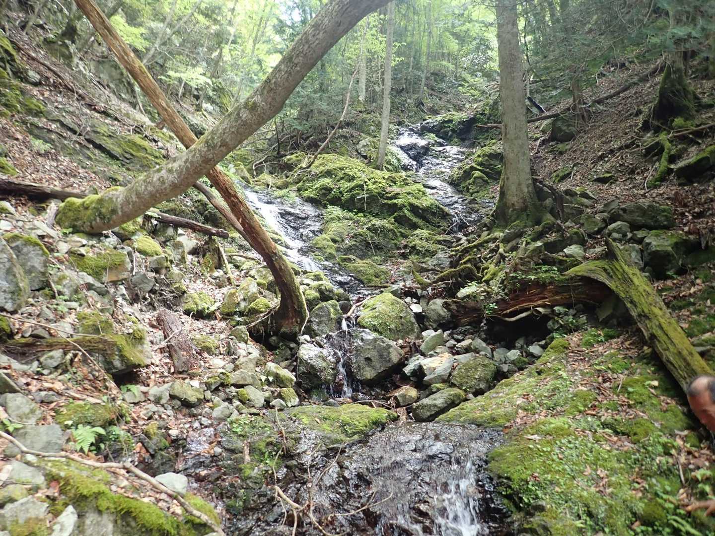 せせらぎの滝