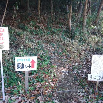 橋を渡ってすぐのぼり　🍂ザクザク結構上る